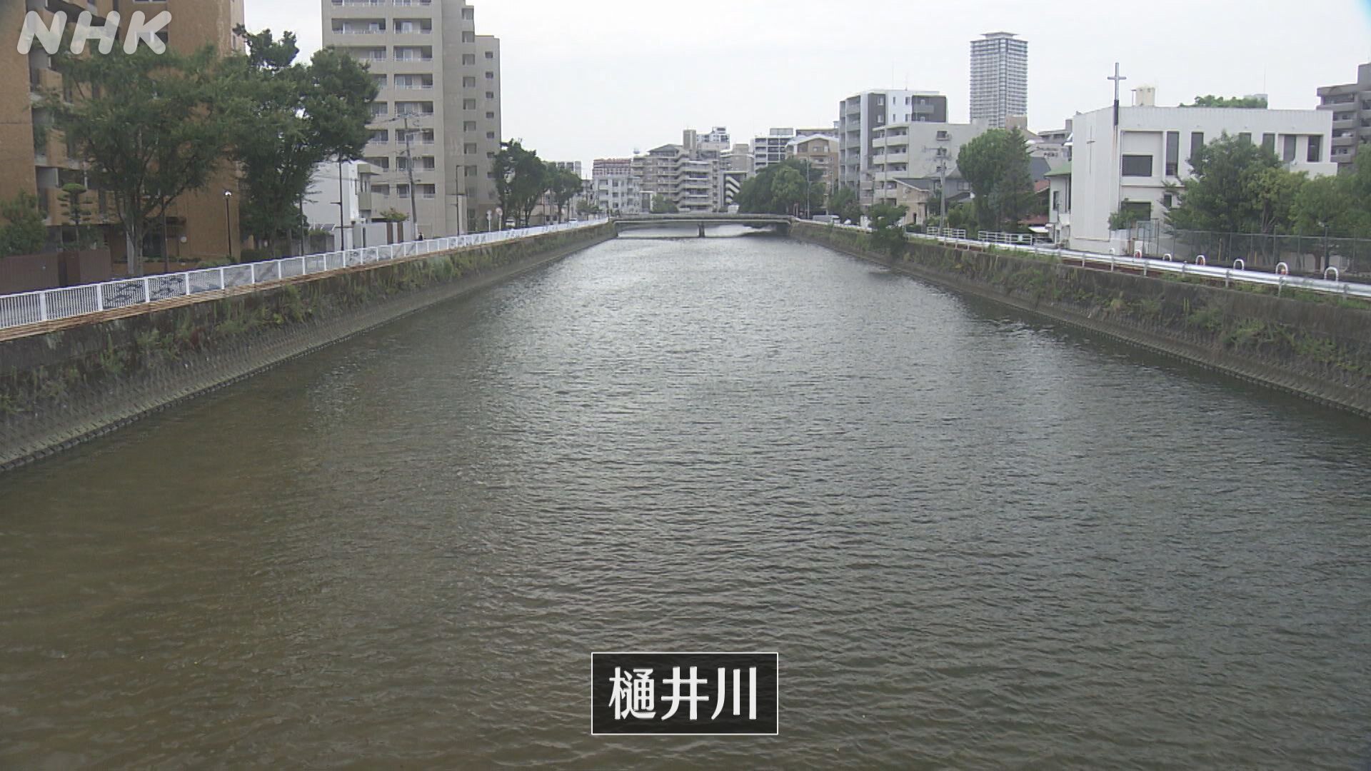 樋井川