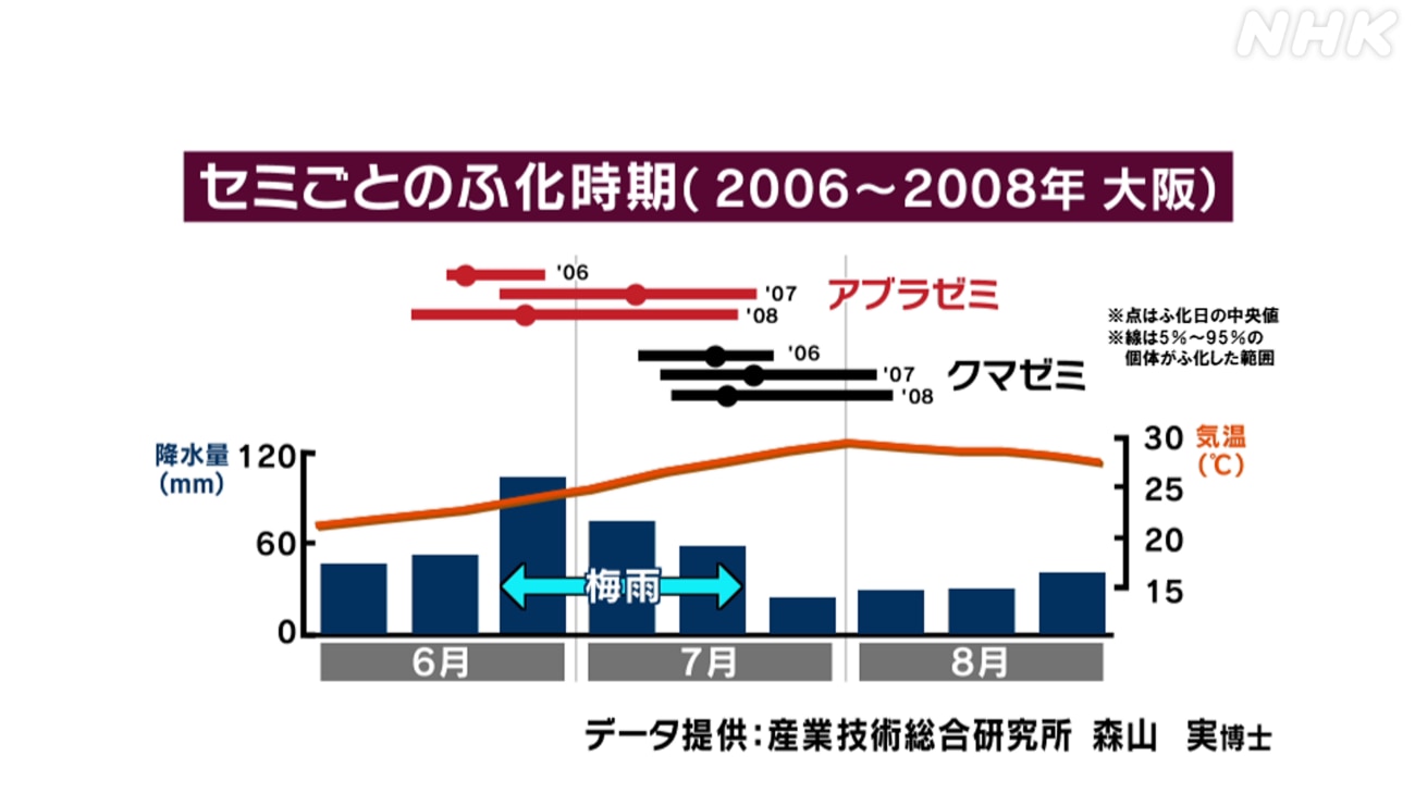 セミごとの孵化時期（2006-2008　大阪）